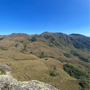 Pedra da Tartaruga - Campos do Quiriri - Imagem 2