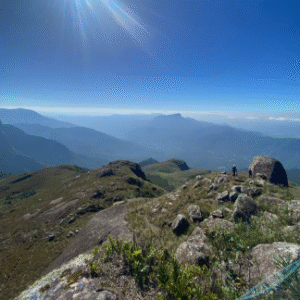 Pedra da Tartaruga - Campos do Quiriri - Imagem 4