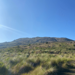 Pico Araçatuba - Imagem 2