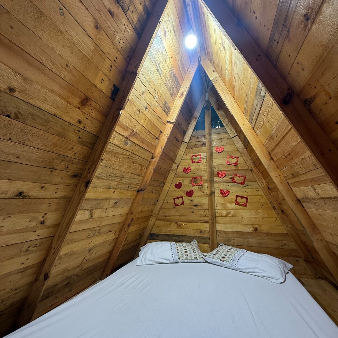 Hospedagem Mini Chalé 1 Joinville - Imagem 3