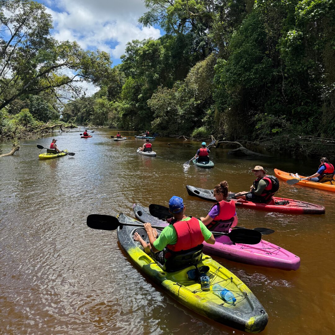 Remada c/ caiaque - Rio 3 Barras Garuva - Imagem 4