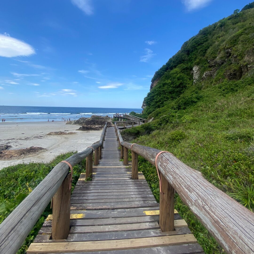 Ilha do Mel - Bate e Volta - Imagem 3
